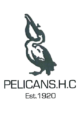 Pelicans Logo